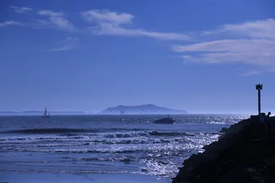 DSC_0863 (Large).JPG